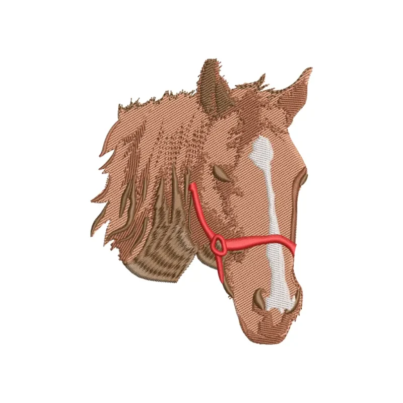 horse-loopdigitizing